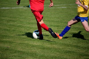 乐鱼体育-LPL多个队伍重组计划曝光转会期极度混乱，lpl战队转会期